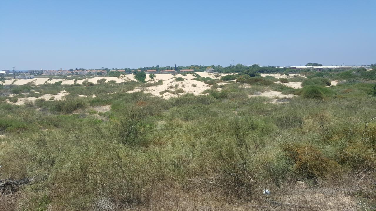 Neot Golf Caesarea Garden Apartment Kültér fotó